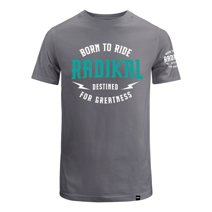 Remera Algodon Destined Gris Radikal - Imagen 1