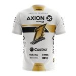 REMERA OFICIAL EDICION LIMITADA COPA DE ORO - Imagen 3