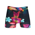 BOXER FLOWERS